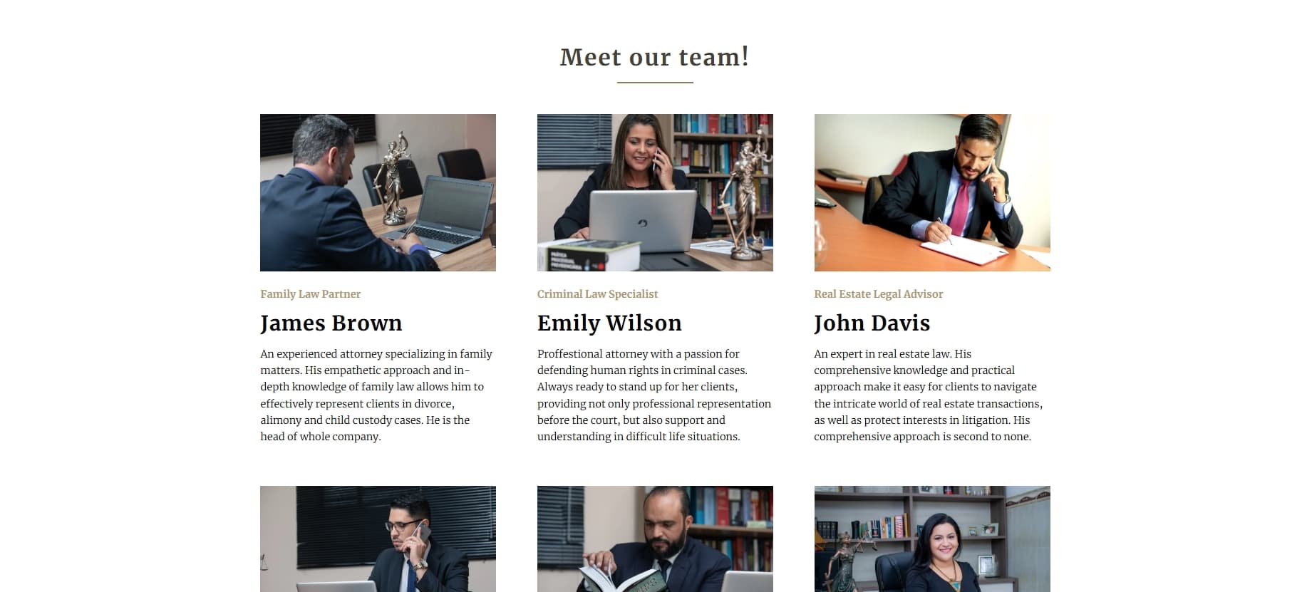 Meet our team section in team site of law company site